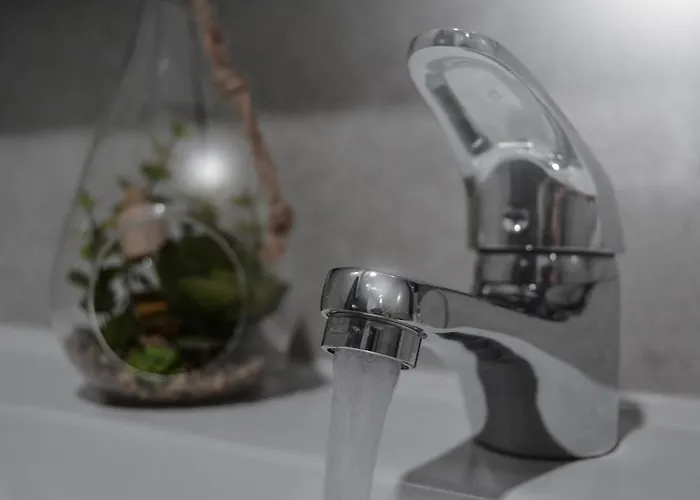 公寓 Anevan 维达古